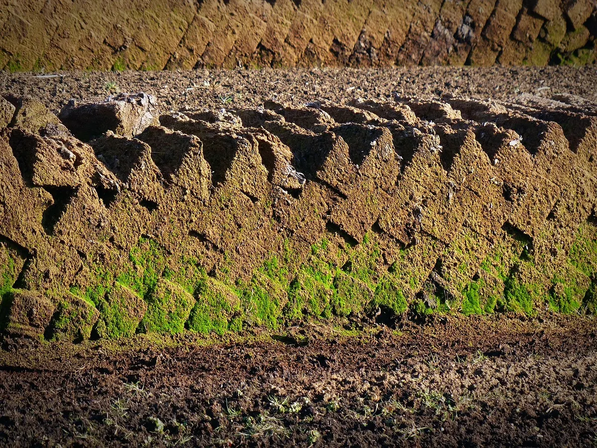 How to Measure Peat Depth and Carbon Storage in a Bog